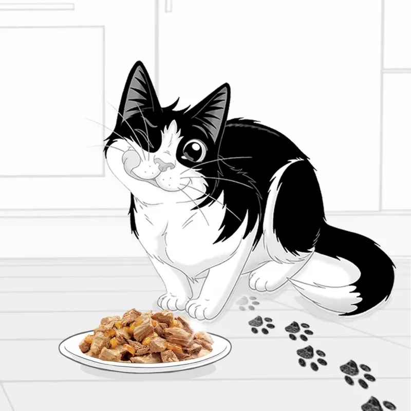 Wet cat food Purina Nestlé Felix Fantastic Junior 85 g pouch — chicken, 77.5% moisture, 13.5% protein