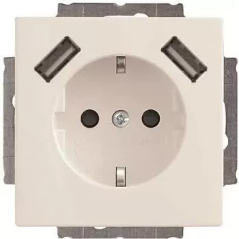 Busch-Jaeger SCHUKO-2x USB Socket Outlet 20 EUCB2USB-84 (2CKA002011A6273)