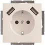 Busch-Jaeger SCHUKO-2x USB Socket Outlet 20 EUCB2USB-84 (2CKA002011A6273)