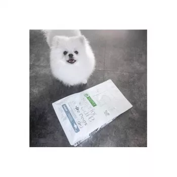 Dry dog food nature’s protection White Dogs GF White Fish Adult Small 4 kg — grain‑free, protein 24%, fat 13%