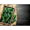 Cucumber Krak F1 Toraf Vegetable Seeds, 5g Package