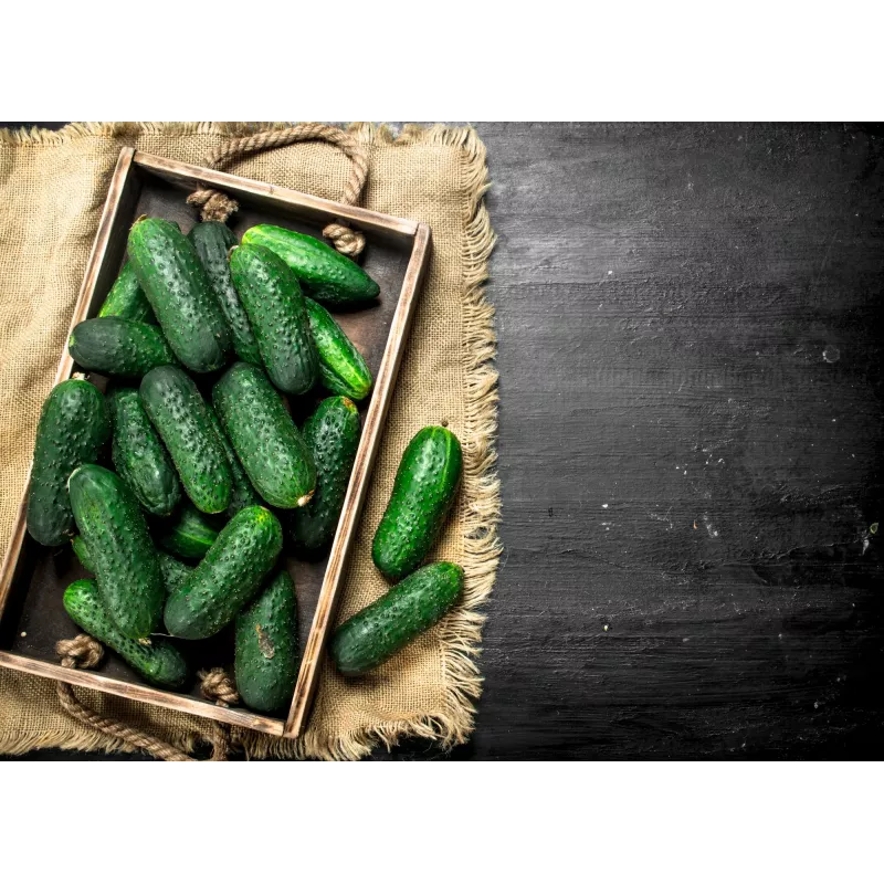 Cucumber Krak F1 Toraf Vegetable Seeds, 5g Package