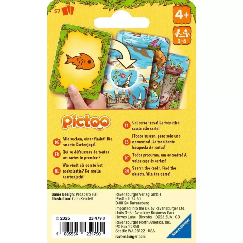 Pictoo Dino-Welt, Card Game