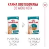 Wet cat food Royal Canin FHN Ageing 11+ Gravy 12×85 g – senior complete wet trays