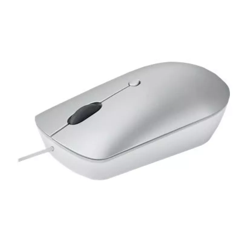Wired optical ambidextrous mouse Lenovo 540 USB Type-C, 3 DPI modes, grey, 4 buttons, 1.8 m cable