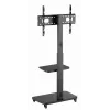 Gembird TVS-75S-02 TV floor stand with caster wheels, 37 - 75, black