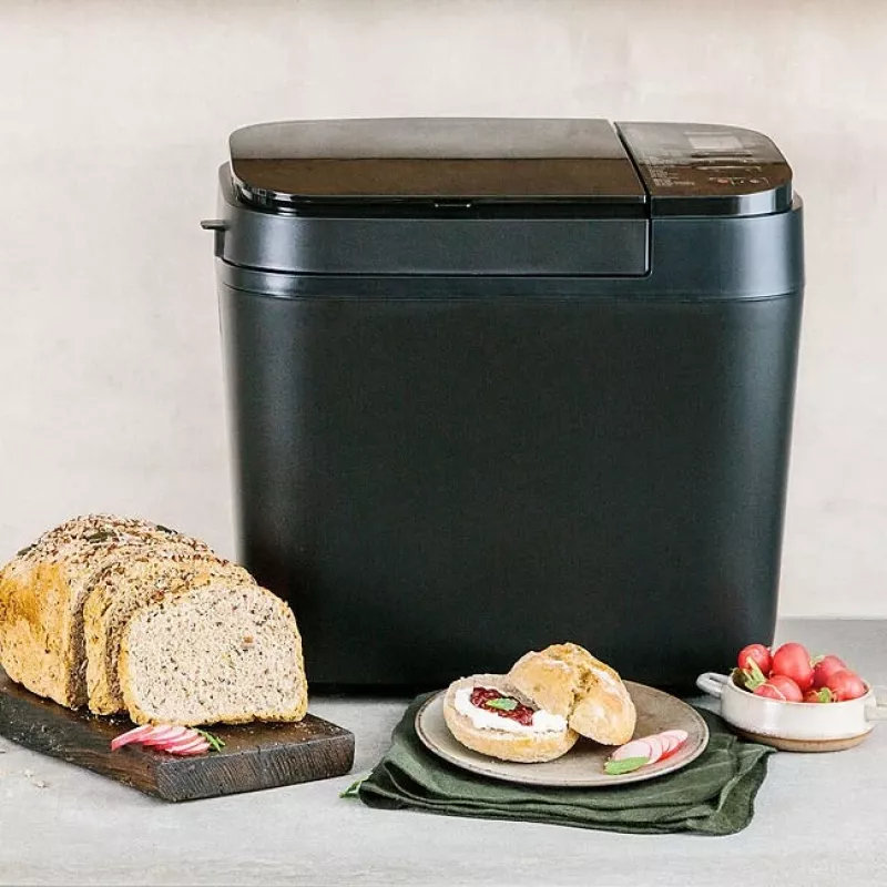 Panasonic | Bread Maker | SD-R2530 | Power 550 W | Number of programs 30 | Display Yes | Black