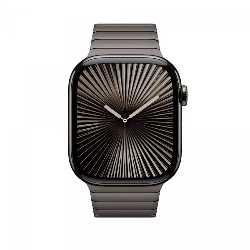 Band Apple 46mm Slate Link Bracelet Grey Smartwatch