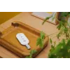 Controller for Smart Alarm Hub