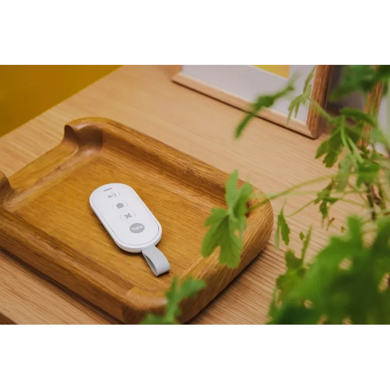 Controller for Smart Alarm Hub