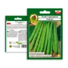 Nomad Green Dwarf Bean Seeds, 50g - Vegetable Seeds
