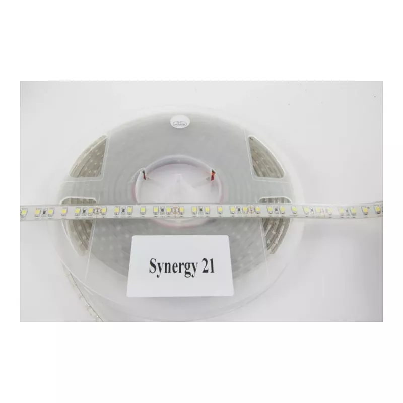 Synergy 21 LED Flex Strip 3528 - 120 KW DC12V 48W IP62