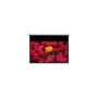 Optoma Panoview DE-9106EGA - Screen - suitable for Wall Mount - motorised - 269 cm (106)