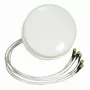 ALLNET antenna 2,4/5 GHz 4dBi DualBand Spatial Diversity MIMO Ceiling/Decken antenna HG2458-4SDC-RSP