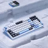 VGN V98 Pro Gaming Keyboard, Arctic Fox - Limited Edition (US)