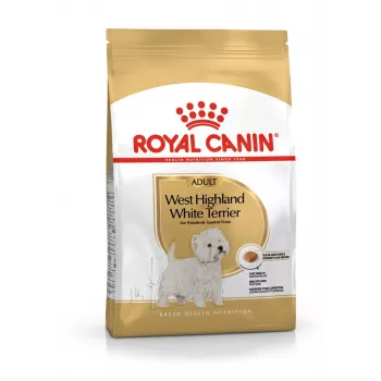 Royal Canin BHN West Highland White Terrier Adult - dry food for adult dogs - 3kg