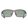 Uvex sports glasses Unisex Full rim Grey Uvex 5330872213