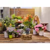 Gardena AquaBloom Hose 20m Black 13301-20