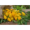 Cherry Tomato Perun Toraf Vegetable Seeds, 0.5g Pack