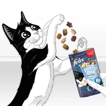 Cat treats Felix Party Mix Dairy Delight 60 g — crunchy milk-flavored snacks for adult cats, protein 35% fat 19.5%