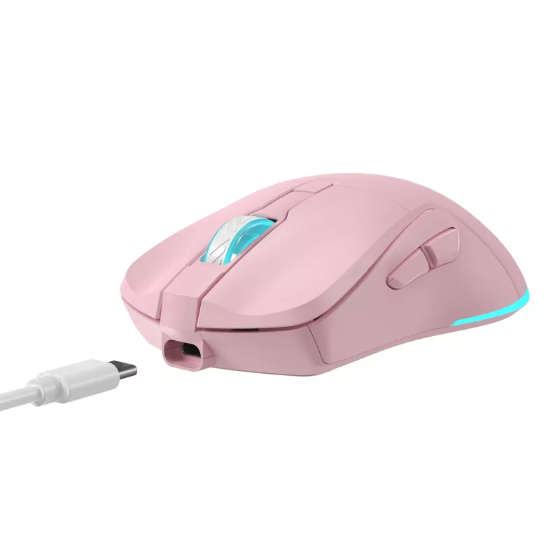 Mouse Baracuda BGM-124 Turtle Pink TURTLE-P