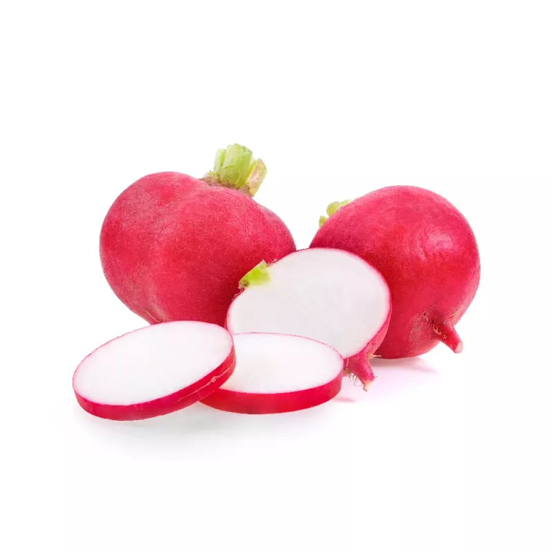 Seeds Apte Rzodkiewka CARMEN — Polish radish variety for year‑round cultivation