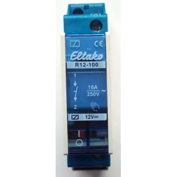 Switching Relay R12-100-12V DC (22100054)