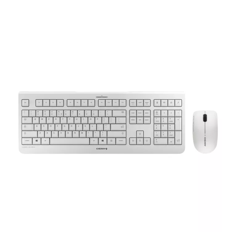 CHERRY DW 3000 keyboard Mouse included Universal RF Wireless QWERTZ German Grey