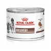Wet recovery dog food Royal Canin Recovery Adult 195 g — poultry, 73% moisture, 12.7% protein