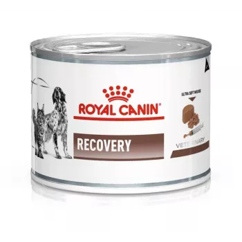 Wet recovery dog food Royal Canin Recovery Adult 195 g — poultry, 73% moisture, 12.7% protein