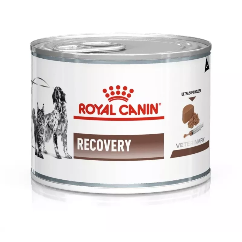 Wet recovery dog food Royal Canin Recovery Adult 195 g — poultry, 73% moisture, 12.7% protein