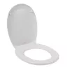 Toilet seat Beldray LA030252UFFEU7 — antibacterial, easy-clean design