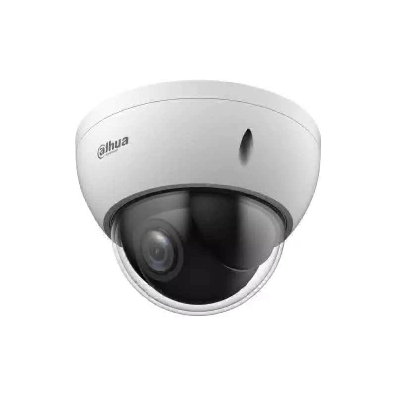Dahua Technology WizSense SD22404DB-GNY Dome IP security camera Outdoor 2560 x 1440 pixels Ceiling/Wall/Pole