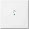 Busch-Jaeger 2CKA006220A0359 Cover Plate for Sensor Holder & -Socket White (2CKA006220A0359)