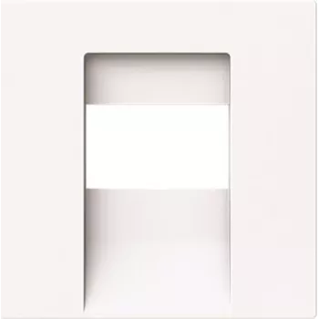 BUSCH-JAEGER 1766-44G central cover plate TAE UAE USB HDMI (2CKA001710A4162)