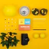 Ja nein vielleicht - Some Things Should Not Be Said, Party Game