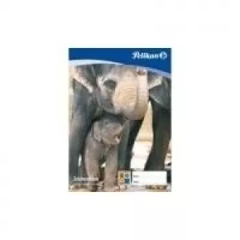 Pelikan Zeichenblock C 2-10, DIN A2, 100 g-qm, 10 Sheets chlorfrei gebleicht, perforiert (137604)