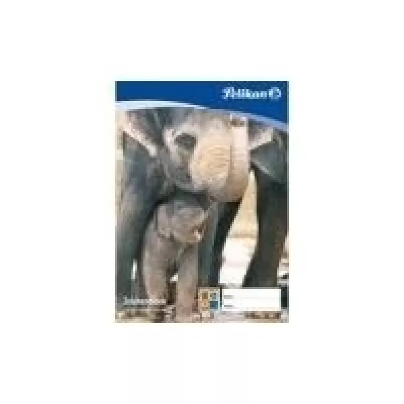 Pelikan Zeichenblock C 2-10, DIN A2, 100 g-qm, 10 Sheets chlorfrei gebleicht, perforiert (137604)