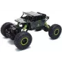 Amewi 22194 1:18 Electric Motor crawler vehicle RC model land vehicle (22194)