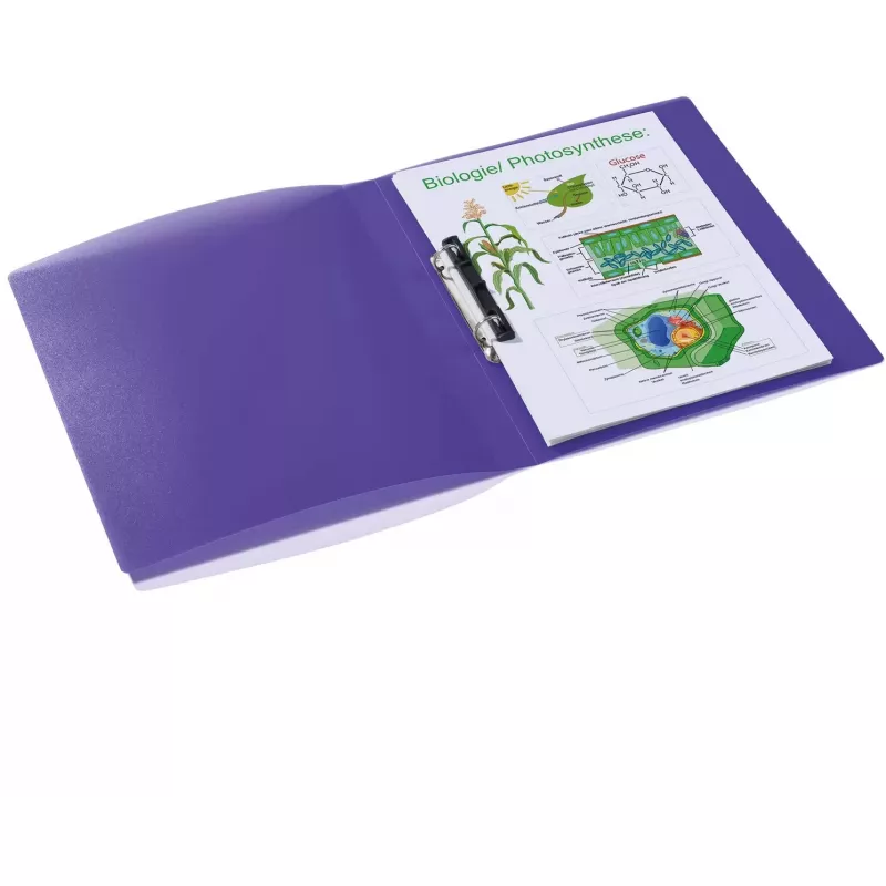 Ring binder HERMA 19183 A4 Violet