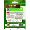 Apte Parsley Half-Long tape 6m — parsley variety, late, high-yield