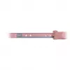 Inter-Tech - Teleskopische Gleiter for Rack - Grey - 2U - 48,3 cm (19) (88887211)