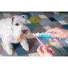 Toothpaste for dogs and cats VIRBAC enzymatic paste 70 g