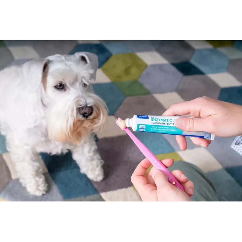 Toothpaste for dogs and cats VIRBAC enzymatic paste 70 g