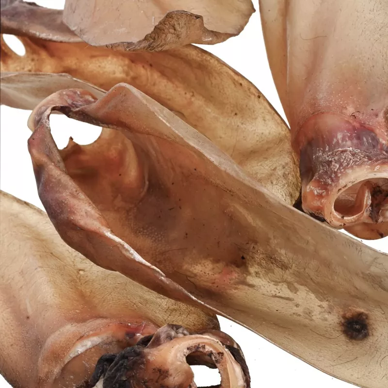 Dog treats PETITTO beef ear with cartilage — pack of 10, single-ingredient chew snacks