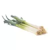 Seeds Seklos LT Leek Starozagorski Kamień — vegetable seeds, packet 1 g