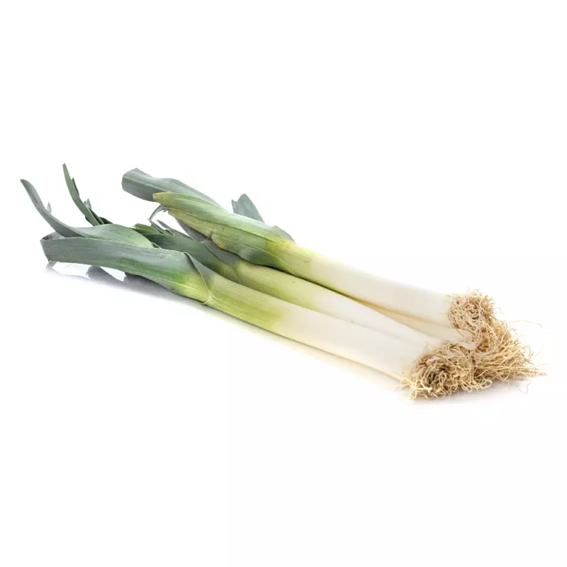 Seeds Seklos LT Leek Starozagorski Kamień — vegetable seeds, packet 1 g