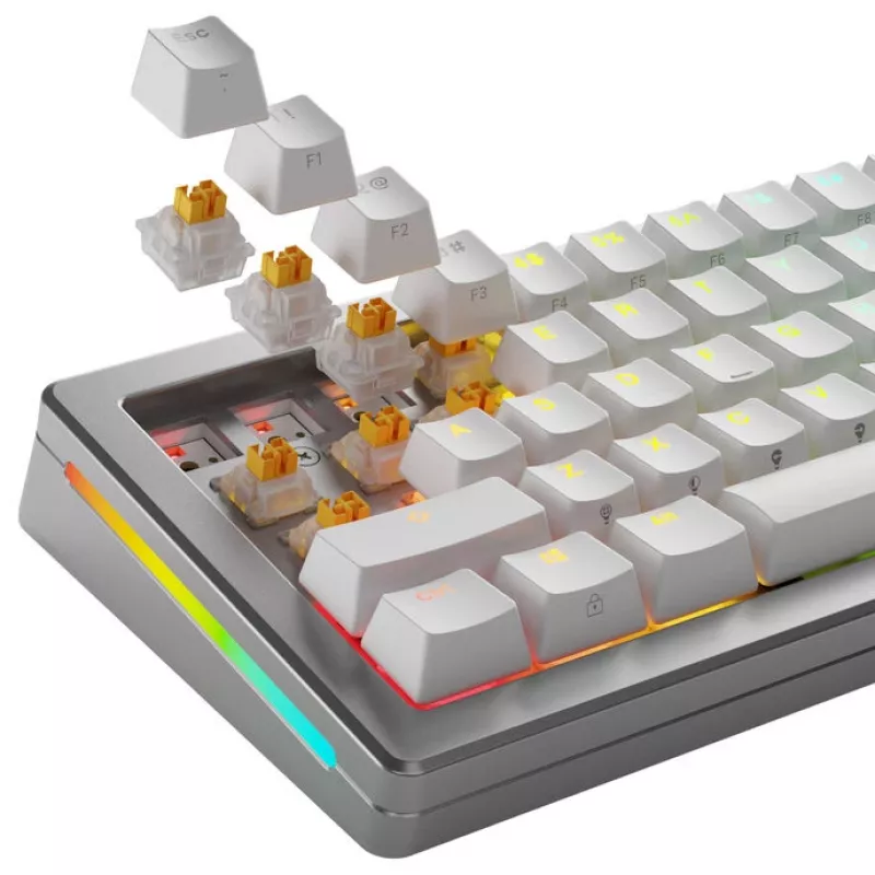 Mechanical keyboard switches GLORIOUS Panda HE Silent, Hall effect compatible, MX-stem, 45g pre-lubed, 36 pcs