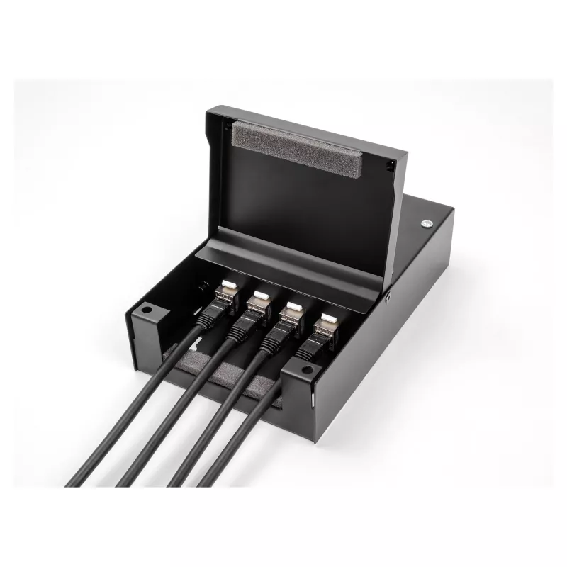 Distribution box DeLOCK 66235 4 port Metal Black