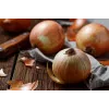 Sochaczew Onion Toraf Vegetable Seeds, 5g Pack